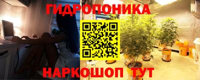 СК Камышлов
