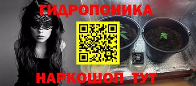СК Камышлов