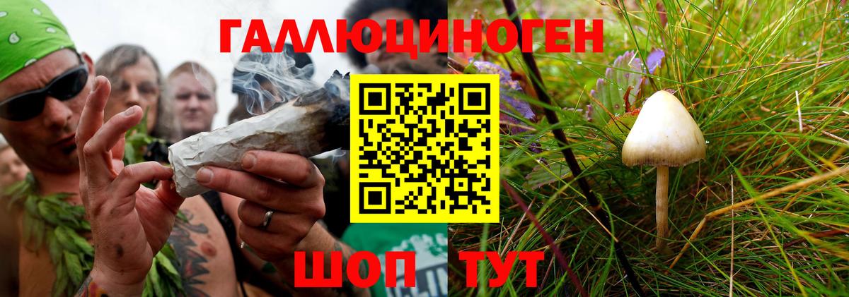 Псилоцибиновые грибы Magic Shrooms Краснознаменск